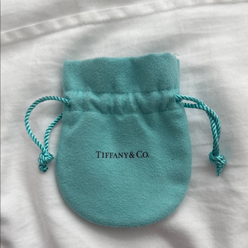 Tiffany & Co. Blue Drawstring Pouch